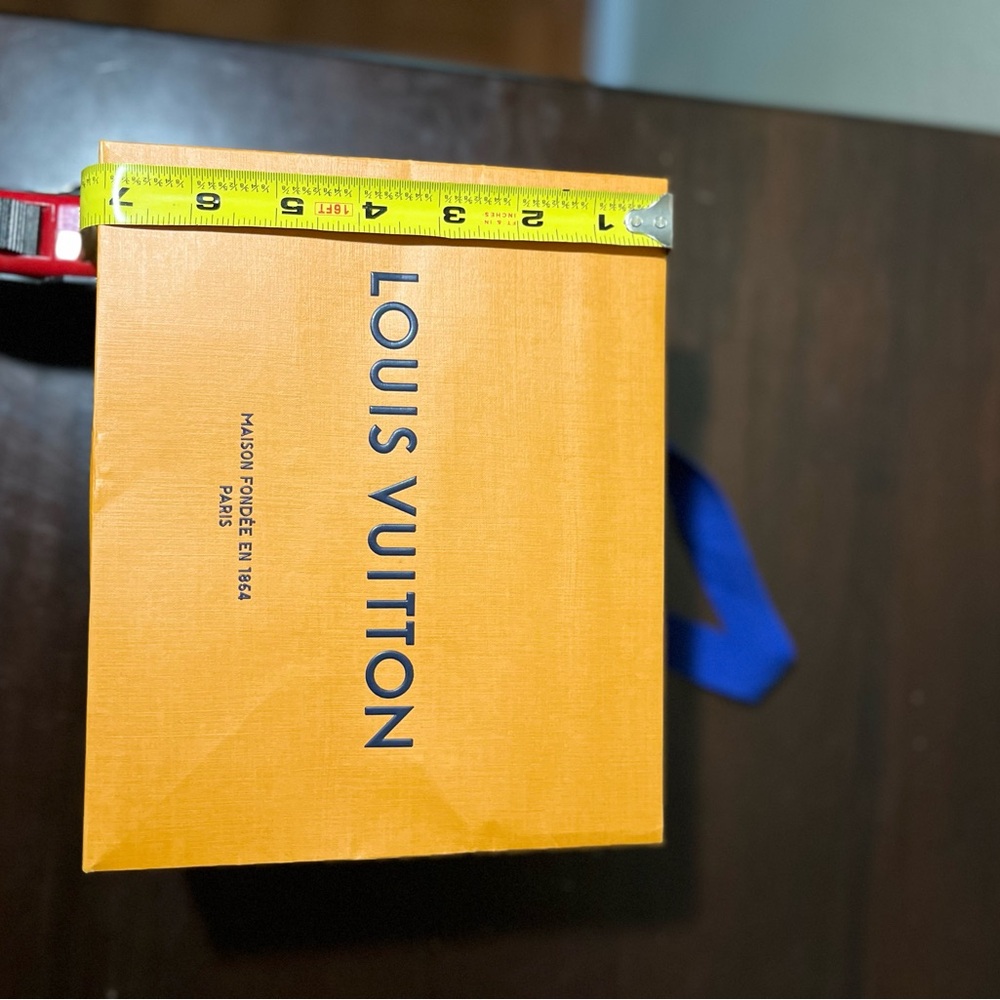 Louis Vuitton Orange Gift Bag - Picture 3 of 4